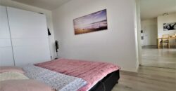 PRODÁNO- Prodej bytu 3+kk 74 m² Žitná, Plzeň – Křimice