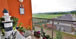 PRODÁNO- Prodej bytu 3+kk 74 m² Žitná, Plzeň – Křimice