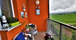 PRODÁNO- Prodej bytu 3+kk 74 m² Žitná, Plzeň – Křimice