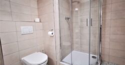 PRONAJATO Pronájem bytu 2+kk 54 m² U Borských kasáren, Plzeň – Jižní Předměstí