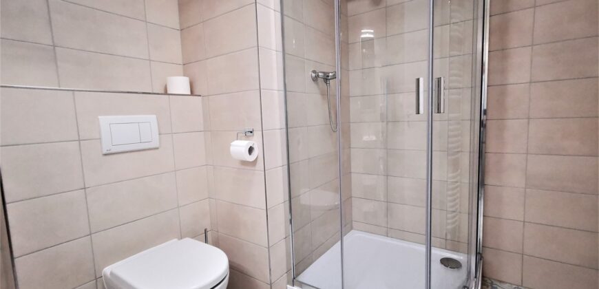 PRONAJATO Pronájem bytu 2+kk 54 m² U Borských kasáren, Plzeň – Jižní Předměstí