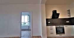 PRONAJATO Pronájem bytu 2+kk 54 m² U Borských kasáren, Plzeň – Jižní Předměstí