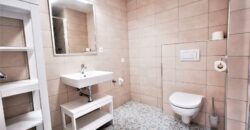 PRONAJATO Pronájem bytu 2+kk 54 m² U Borských kasáren, Plzeň – Jižní Předměstí