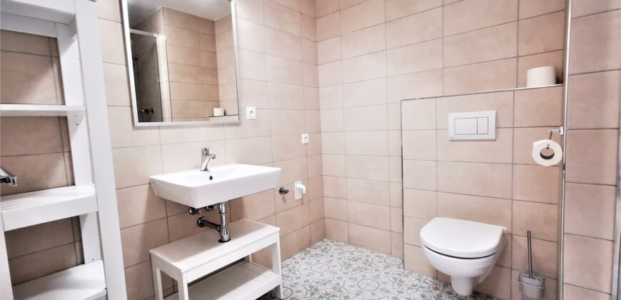 PRONAJATO Pronájem bytu 2+kk 54 m² U Borských kasáren, Plzeň – Jižní Předměstí