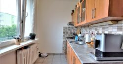 PRODÁNO-Prodej bytu 2+1 48 m² Raisova, Plzeň – Jižní Předměstí