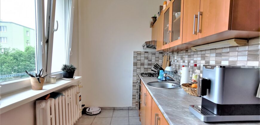 PRODÁNO-Prodej bytu 2+1 48 m² Raisova, Plzeň – Jižní Předměstí