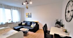 PRODÁNO-Prodej bytu 2+1 48 m² Raisova, Plzeň – Jižní Předměstí