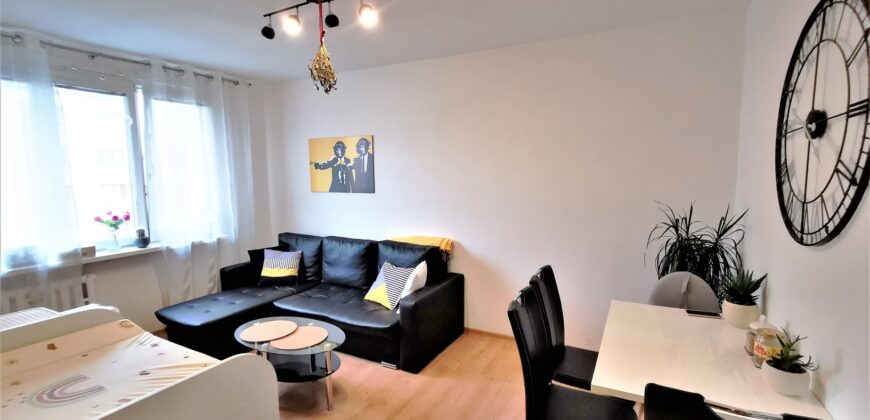 PRODÁNO-Prodej bytu 2+1 48 m² Raisova, Plzeň – Jižní Předměstí