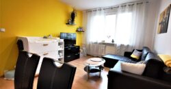 PRODÁNO-Prodej bytu 2+1 48 m² Raisova, Plzeň – Jižní Předměstí