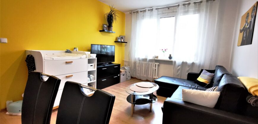 PRODÁNO-Prodej bytu 2+1 48 m² Raisova, Plzeň – Jižní Předměstí