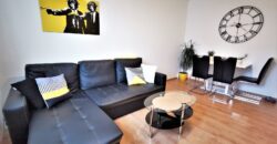 PRODÁNO-Prodej bytu 2+1 48 m² Raisova, Plzeň – Jižní Předměstí