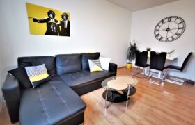 PRODÁNO-Prodej bytu 2+1 48 m² Raisova, Plzeň – Jižní Předměstí