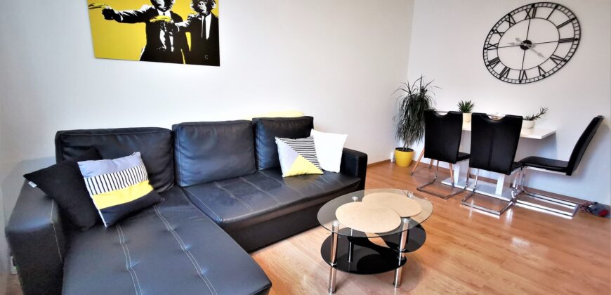 PRODÁNO-Prodej bytu 2+1 48 m² Raisova, Plzeň – Jižní Předměstí