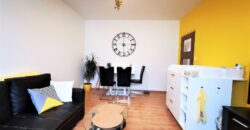 PRODÁNO-Prodej bytu 2+1 48 m² Raisova, Plzeň – Jižní Předměstí