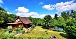 PRODÁNO -Prodej chaty 51 m², pozemek 995 m² Hromnice – Žichlice, okres Plzeň-sever