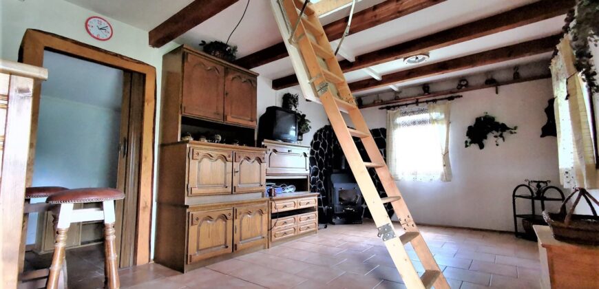 PRODÁNO -Prodej chaty 51 m², pozemek 995 m² Hromnice – Žichlice, okres Plzeň-sever
