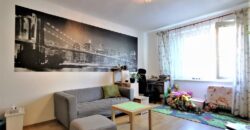 PRODÁNO Prodej bytu 2+1 56 m² Brojova, Plzeň – Východní Předměstí