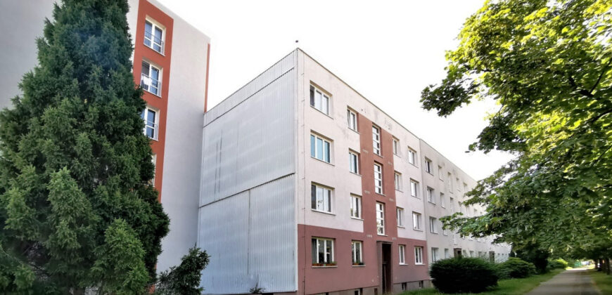 PRODÁNO Prodej bytu 2+1 56 m² Brojova, Plzeň – Východní Předměstí