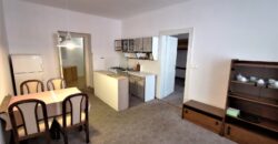 PRONAJATO – Pronájem bytu 2+kk 55 m² Čechova, Plzeň – Jižní Předměstí