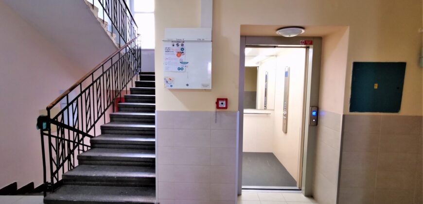 PRONAJATO – Pronájem bytu 2+kk 55 m² Čechova, Plzeň – Jižní Předměstí