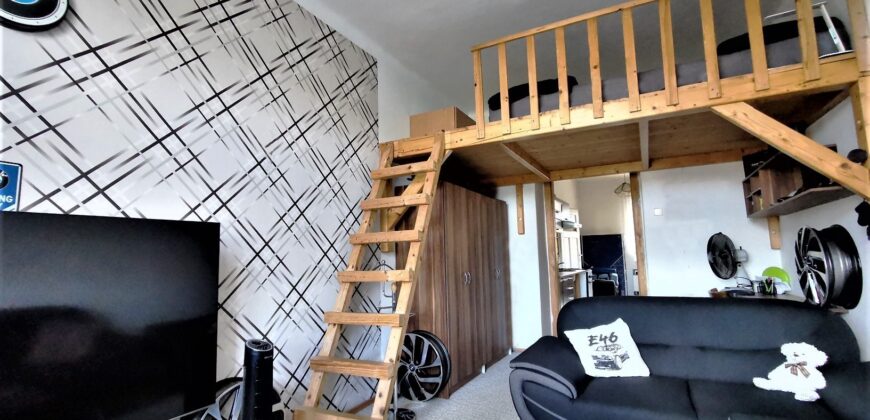 PRONAJATO- Pronájem bytu 1+1 42 m² Lipová, Plzeň – Severní Předměstí