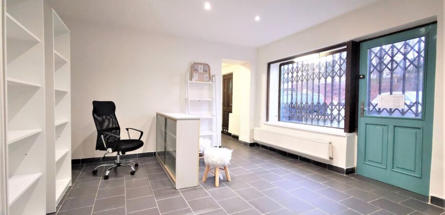 PRODEJ – nebytový prostor 48 m² Babinská, Plasy