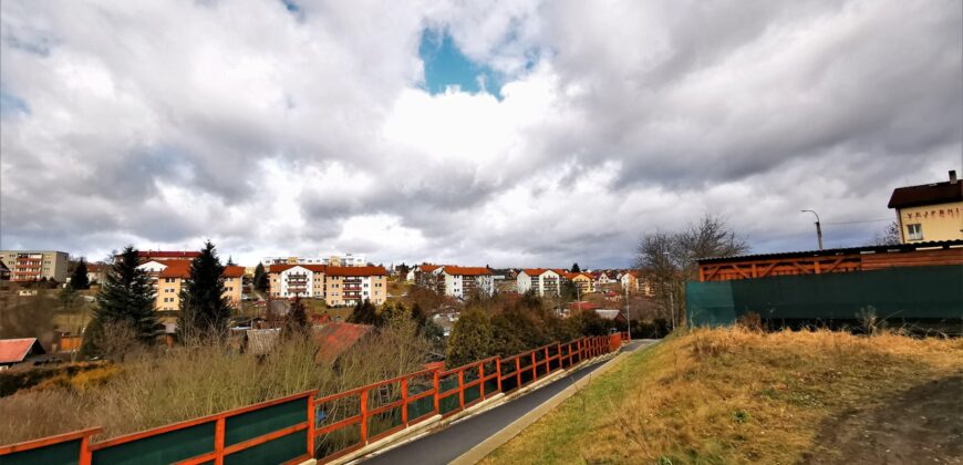 PRODÁNO- Prodej chaty 16 m², pozemek 395 m² Vejprnice, okres Plzeň-sever