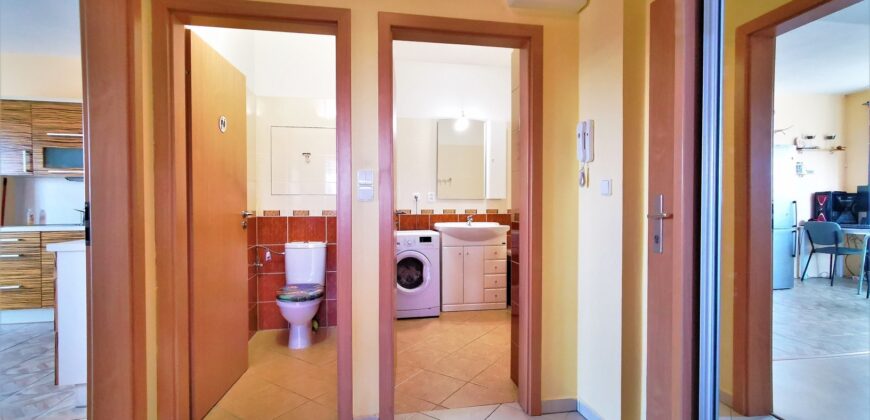 PRODÁNO- Prodej bytu 2+kk 52 m² Goldscheiderova, Plzeň – Jižní Předměstí