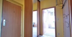PRODÁNO- Prodej bytu 2+kk 52 m² Goldscheiderova, Plzeň – Jižní Předměstí