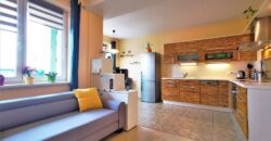 PRODÁNO- Prodej bytu 2+kk 52 m² Goldscheiderova, Plzeň – Jižní Předměstí