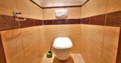 PRODÁNO- Prodej bytu 3+kk 77 m² Slovanská, Plzeň – Východní Předměstí