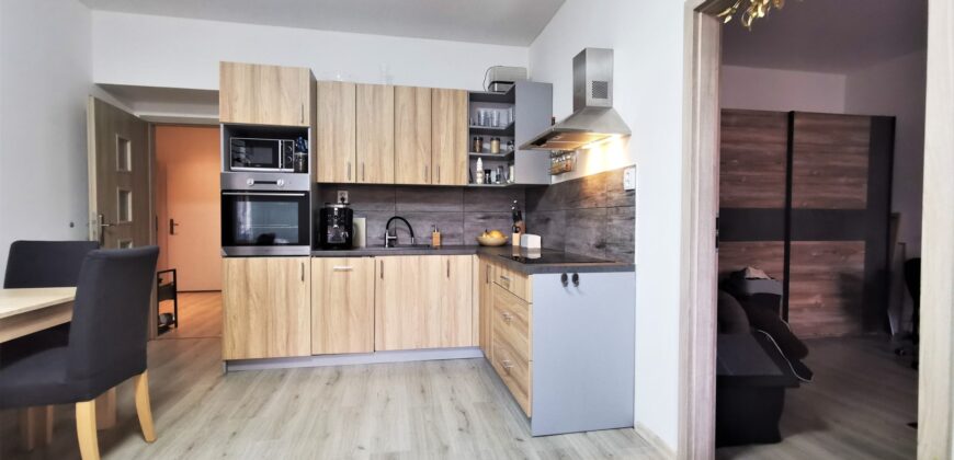 PRODÁNO- Prodej bytu 2+kk 55 m² Čechova, Plzeň – Jižní Předměstí