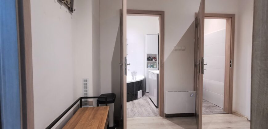PRODÁNO- Prodej bytu 2+kk 55 m² Čechova, Plzeň – Jižní Předměstí