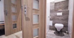 PRODÁNO- Prodej bytu 2+kk 55 m² Čechova, Plzeň – Jižní Předměstí