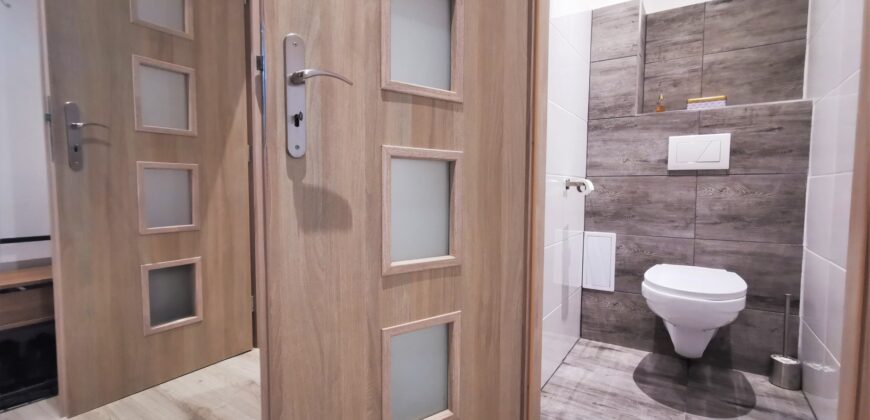PRODÁNO- Prodej bytu 2+kk 55 m² Čechova, Plzeň – Jižní Předměstí
