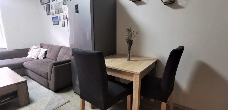 PRODÁNO- Prodej bytu 2+kk 55 m² Čechova, Plzeň – Jižní Předměstí