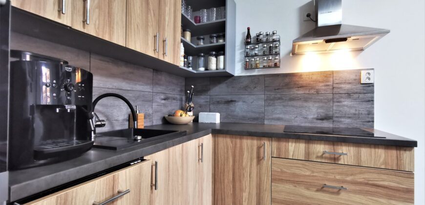PRODÁNO- Prodej bytu 2+kk 55 m² Čechova, Plzeň – Jižní Předměstí