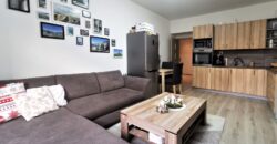 PRODÁNO- Prodej bytu 2+kk 55 m² Čechova, Plzeň – Jižní Předměstí