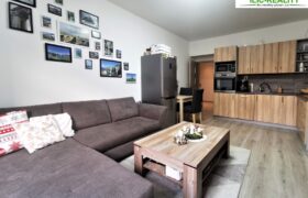 PRODÁNO- Prodej bytu 2+kk 55 m² Čechova, Plzeň – Jižní Předměstí