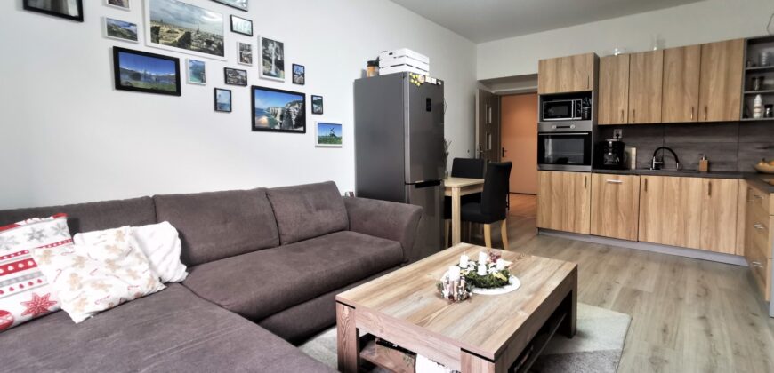 PRODÁNO- Prodej bytu 2+kk 55 m² Čechova, Plzeň – Jižní Předměstí