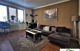 PRODÁNO -Prodej bytu 2+1 54 m² Neumannova, Plzeň – Východní Předměstí