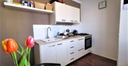 PRODÁNO -Prodej bytu 2+1 54 m² Neumannova, Plzeň – Východní Předměstí