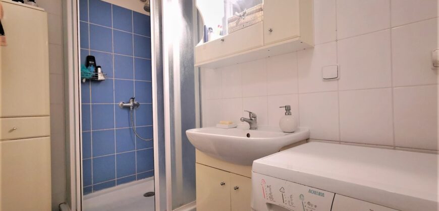 PRODÁNO -Prodej bytu 2+1 54 m² Neumannova, Plzeň – Východní Předměstí
