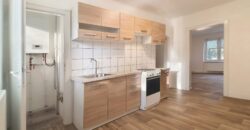 Prodej bytu 2+1 60 m² K Nádraží, Plzeň – Křimice